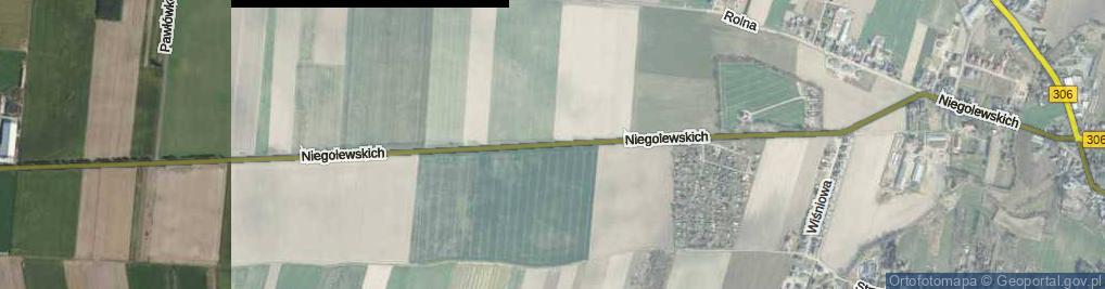 Zdjęcie satelitarne Niegolewskich ul.